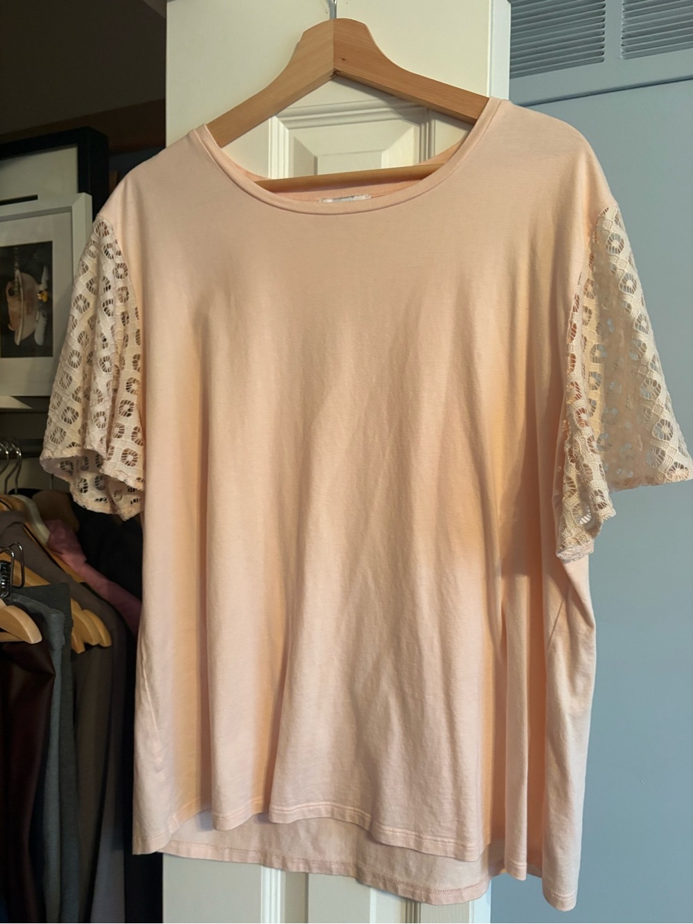 Maette Women’s Lace Sleeve Crewneck Top - Light Peach